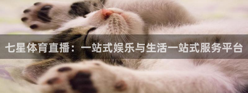 七星体育直播：一站式娱乐与生活一站式服务平台